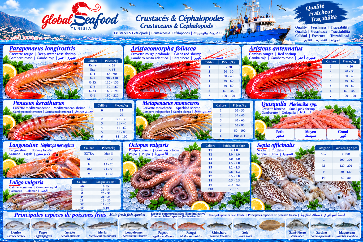 Catalogue des crustacés et céphalopodes avec calibres : crevettes, langoustine, quisquilla, poulpe, seiche et calamar